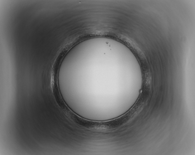 X0000102290685200808081523