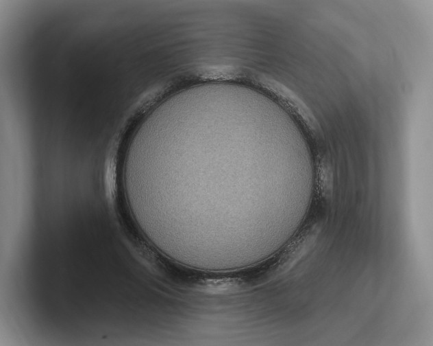 X0000102290686200808081523