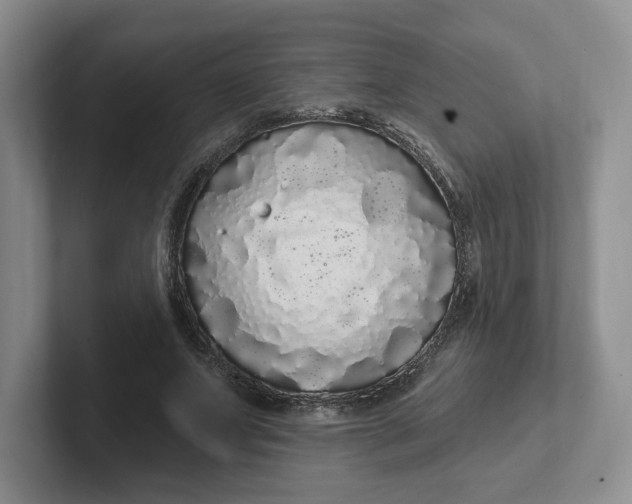 X0000102290687200808081523