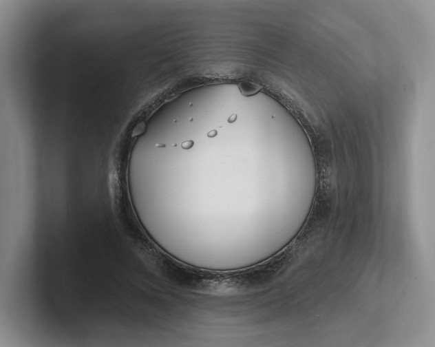 X0000102290688200808081523