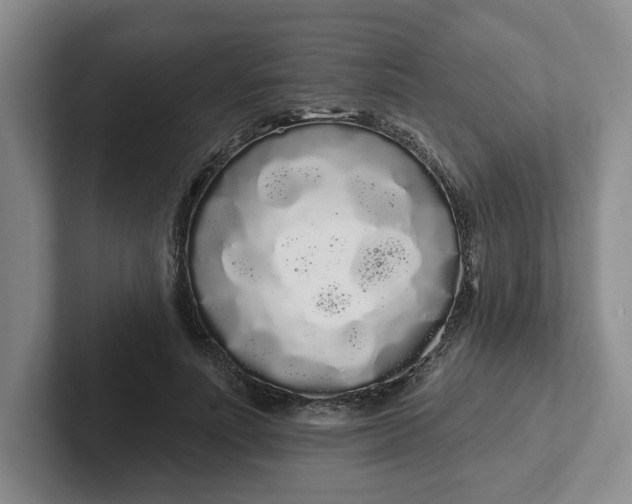 X0000102290691200808081523