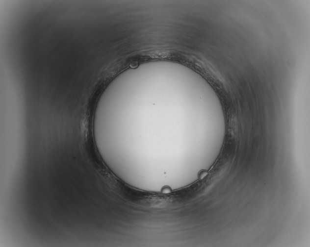 X0000102290697200808081523