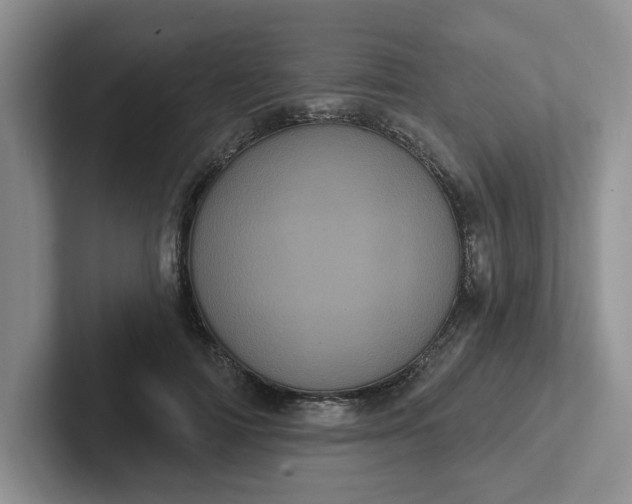 X0000102290698200808081523