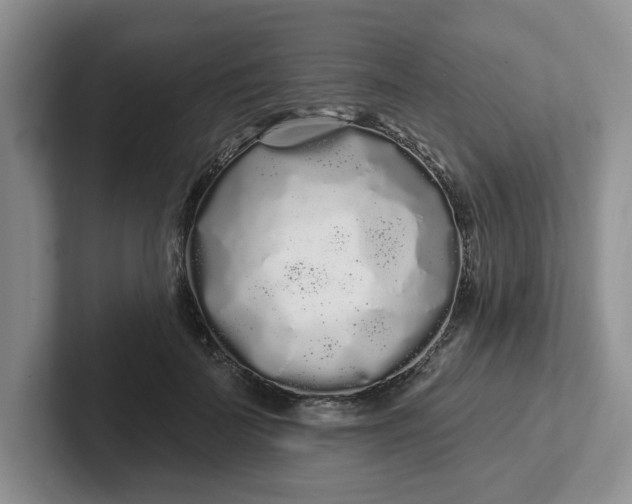 X0000102290699200808081523