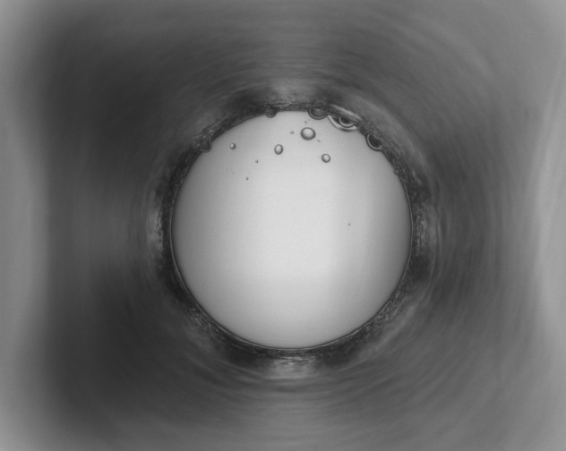 X0000102290700200808081523