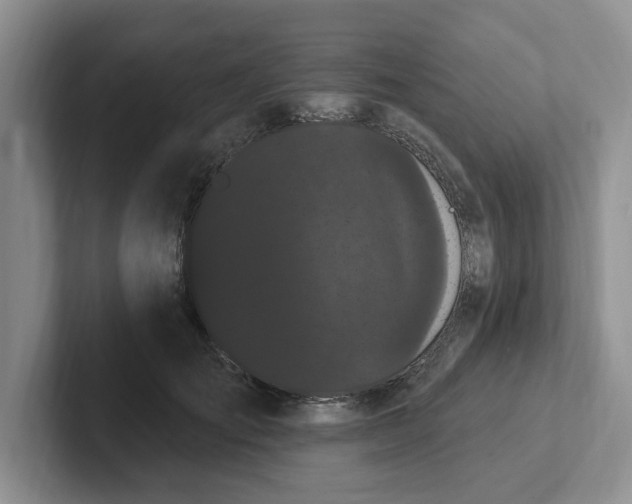 X0000102290701200808081523