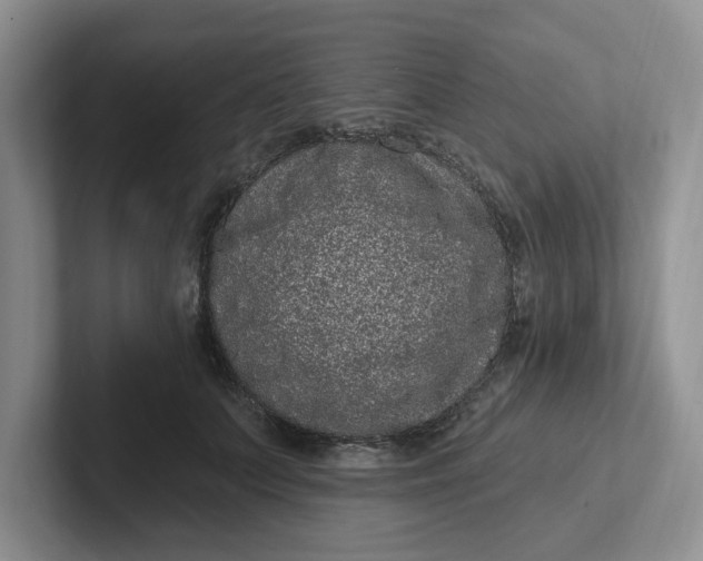 X0000102290703200808081523