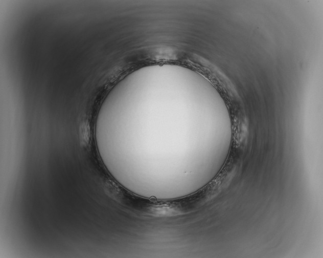 X0000102290704200808081523