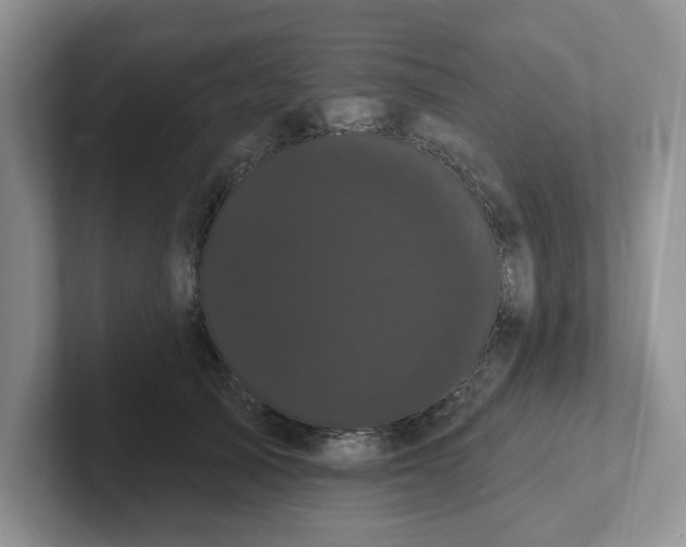 X0000102290705200808081523