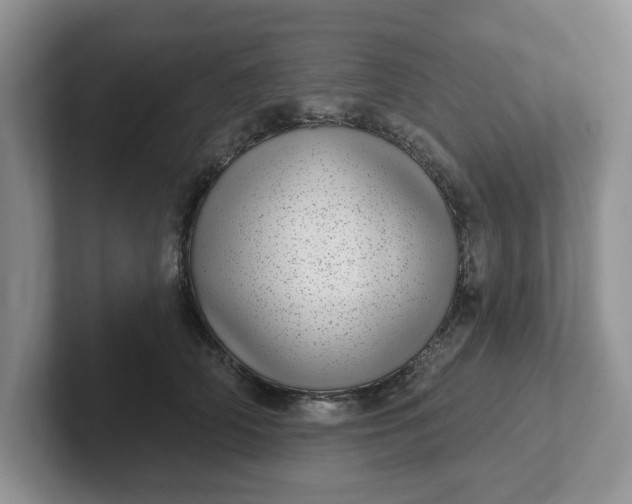 X0000102290706200808081523