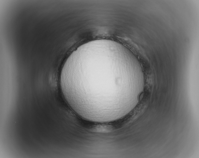 X0000102290708200808081523