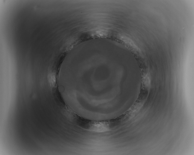 X0000102290709200808081523