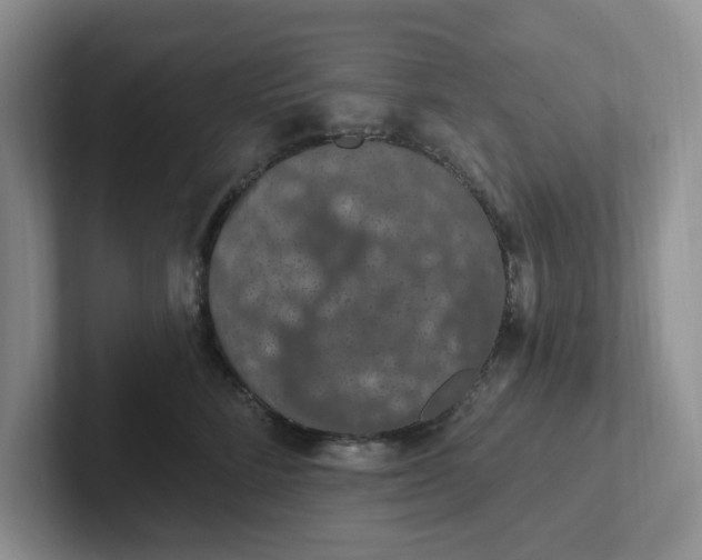 X0000102290712200808081523