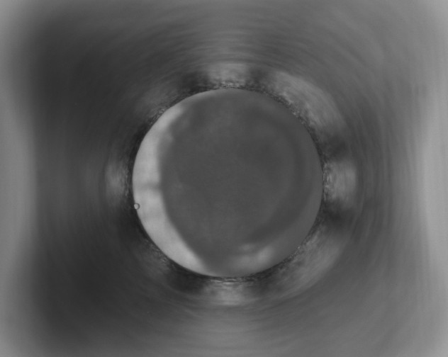 X0000102290713200808081523