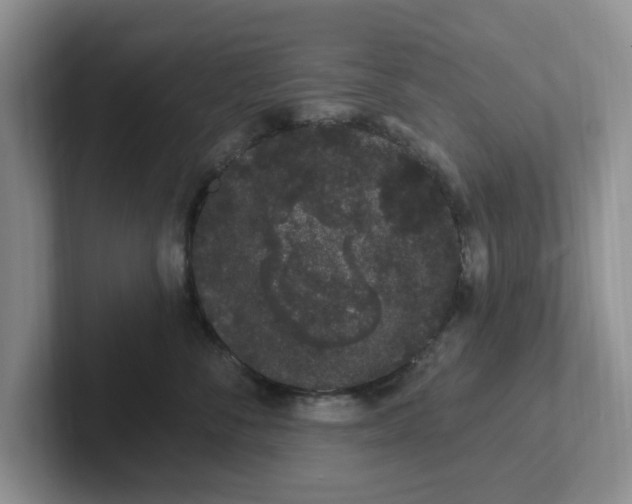 X0000102290716200808081523