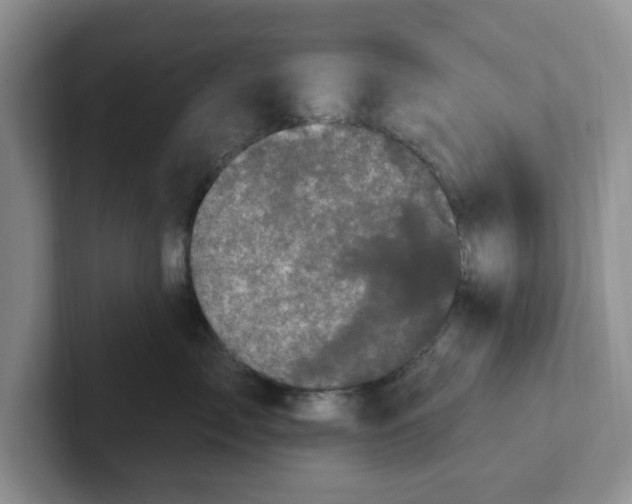 X0000102290717200808081523