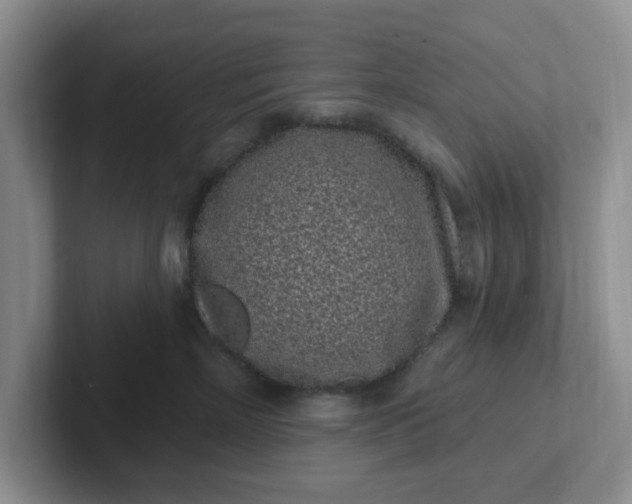 X0000102290718200808081523