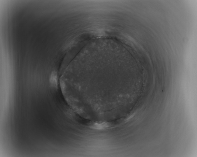 X0000102290720200808081523