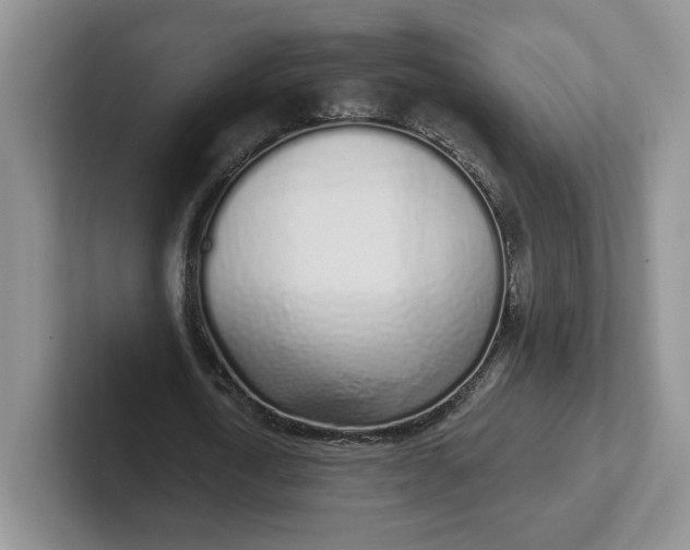 X0000102290722200808081522