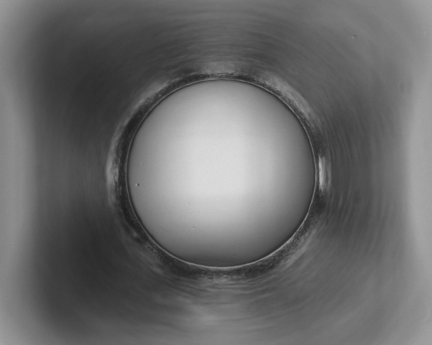 X0000102290723200808081522