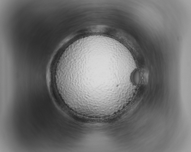 X0000102290726200808081522