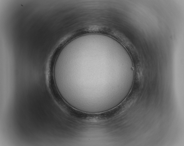 X0000102290728200808081522