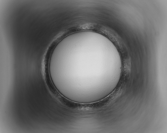 X0000102290730200808081522