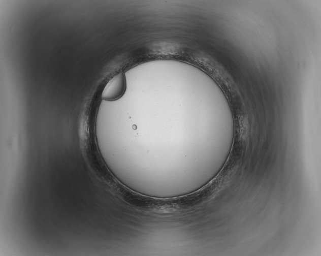 X0000102290731200808081522