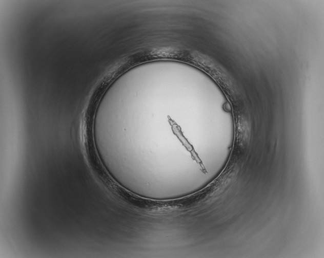 X0000102290734200808081522