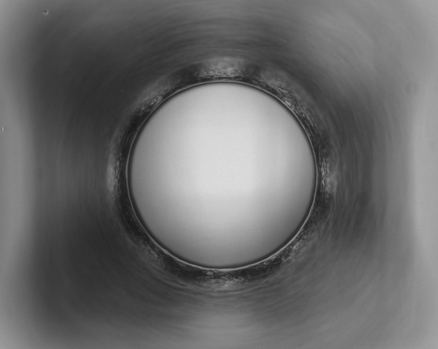 X0000102290735200808081522