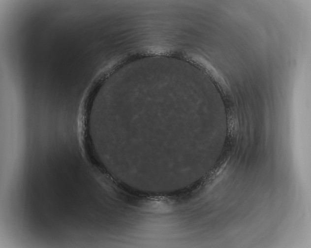 X0000102290736200808081522