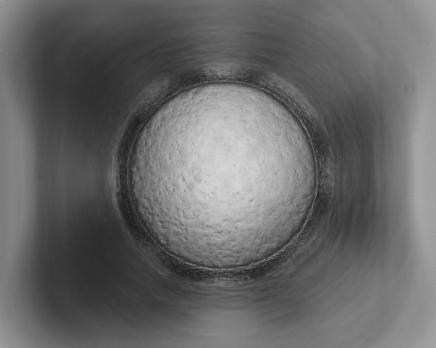 X0000102290738200808081522