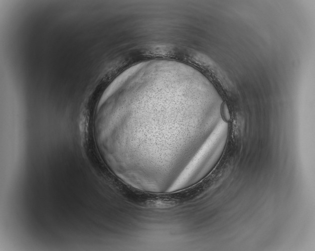 X0000102290739200808081522