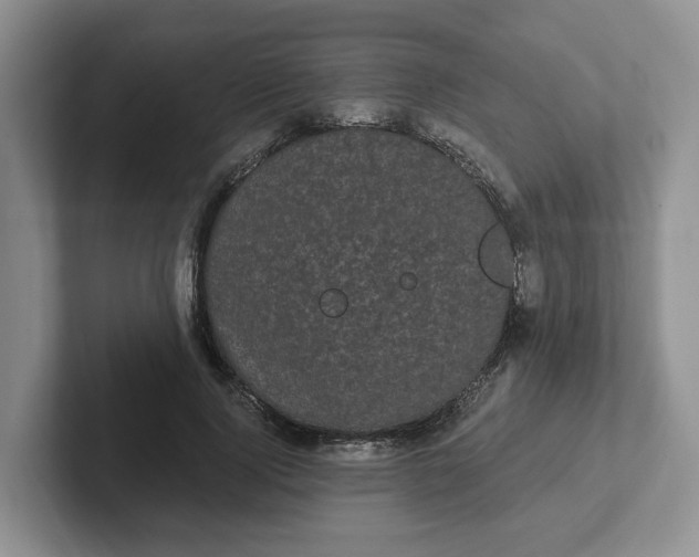 X0000102290740200808081522