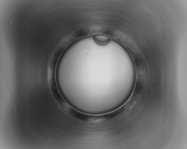 X0000102290742200808081522