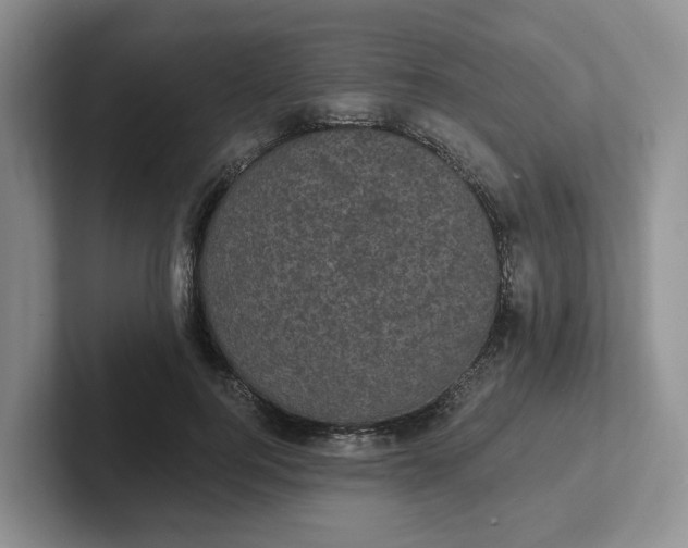 X0000102290744200808081522