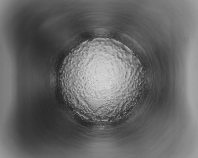 X0000102290745200808081522