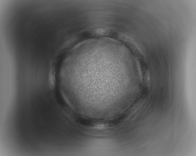 X0000102290746200808081522