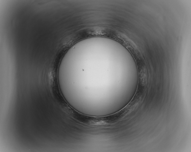 X0000102290747200808081522