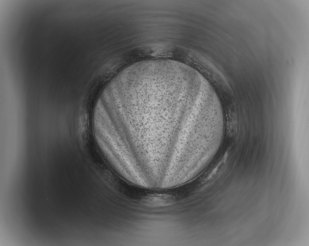 X0000102290748200808081522