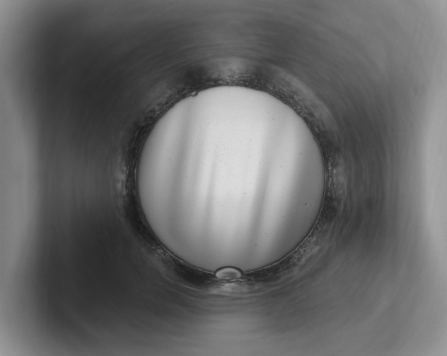 X0000102290750200808081522