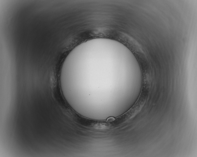 X0000102290751200808081522