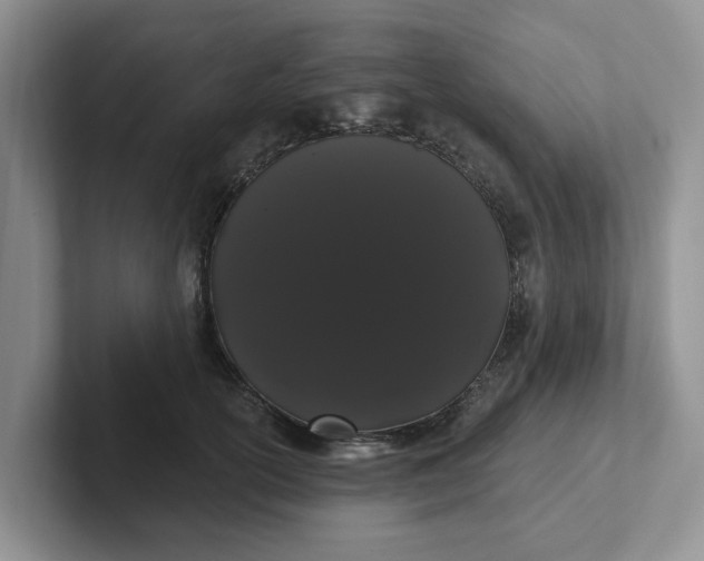 X0000102290754200808081523