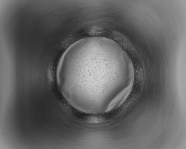 X0000102290755200808081523