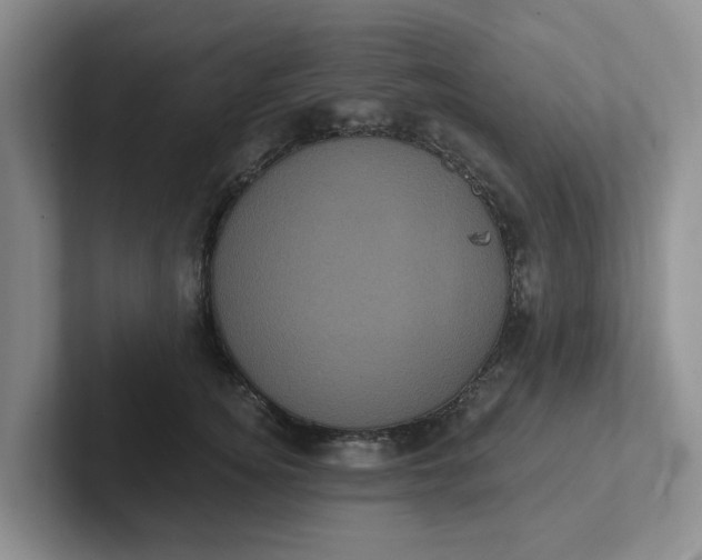 X0000102290756200808081523