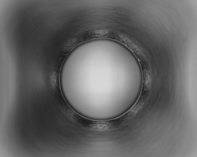 X0000102290758200808081523