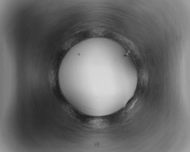 X0000102290759200808081523