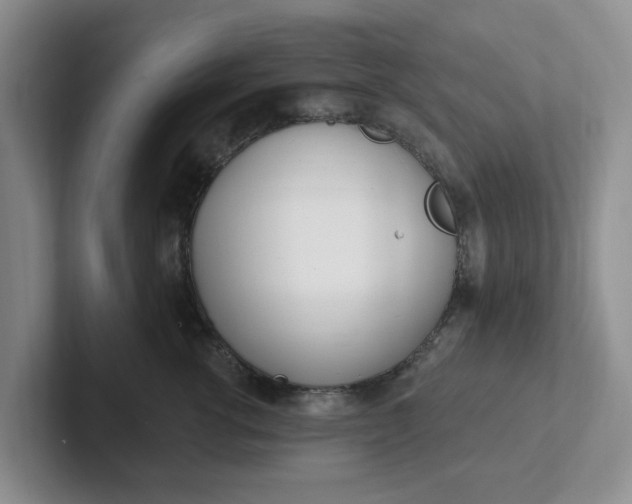 X0000102290762200808081523