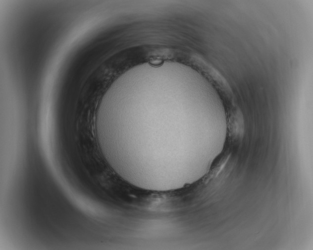 X0000102290764200808081523