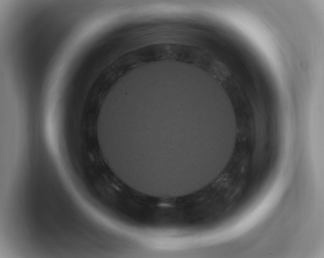 X0000102290766200808081523